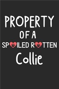 Property Of A Spoiled Rotten Collie