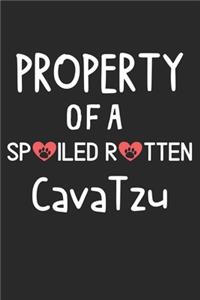 Property Of A Spoiled Rotten CavaTzu