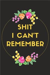 Shit I Can't Remember