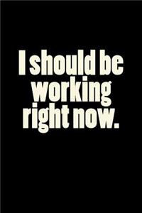 I Should Be Working Right Now.: A Lined Notebook Perfect for Your Everyday Needs.