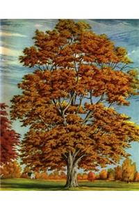 Fall Tree Autumn Leaves Color Changed School Composition Book 130 Pages