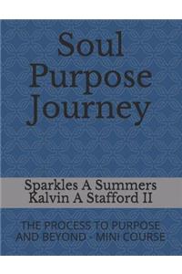 Soul Purpose Journey: The Process to Purpose and Beyond - Mini Course