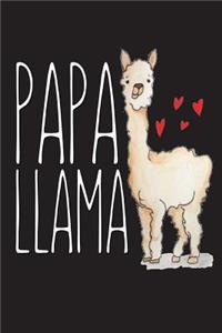 Papa Llama