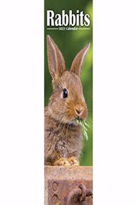 Rabbits 2021 Slim Calendar
