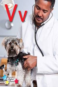 Alpha Stars Vv 6-Pack