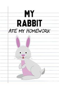 My Rabbit Ate My Homework