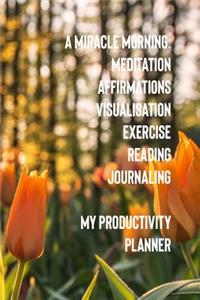 A Miracle Morning Meditation Affirmations Visualisation Exercise Reading Journaling My Productivity Planner