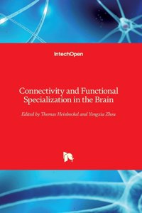 Connectivity and Functional Specialization in the Brain