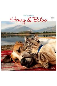 Henry & Baloo Our Wild Tails 2020 Square