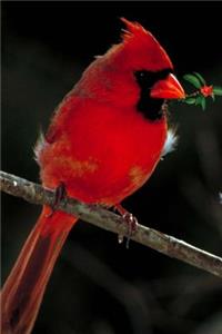 A Scarlet Red Cardinal Holiday Journal