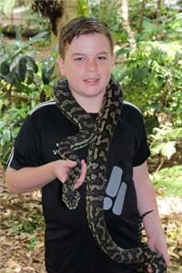 Jungle Carpet Python Notebook