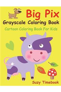 Big Pix Grayscale Coloring Book Cartoon Coloring Book for Kids