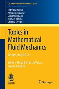 Topics in Mathematical Fluid Mechanics