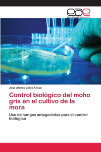 Control biológico del moho gris en el cultivo de la mora