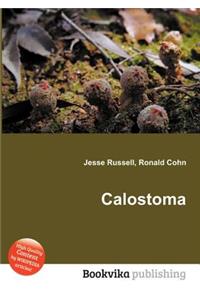 Calostoma