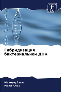 Гибридизация бактериальной ДНК