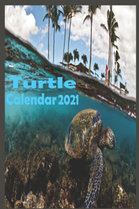 Turtle calendar 2021