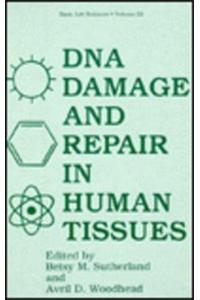 Deoxyribonucleic Acid Damage and Repair in Human Tissues