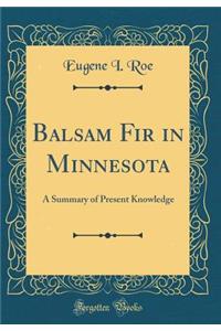 Balsam Fir in Minnesota: A Summary of Present Knowledge (Classic Reprint)