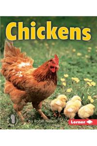Chickens