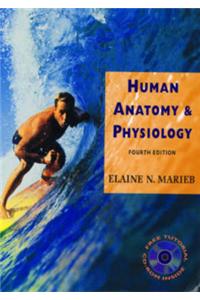 Human Anatomy and Physiology