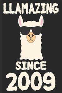 Llamazing Since 2009