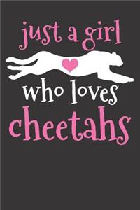 Cheetah Gift Notebook