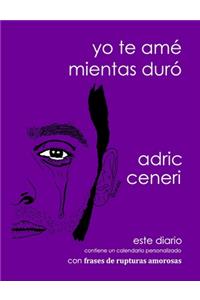 Yo te amé mientras duró