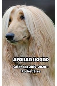 Afghan Hound Calendar 2019-2020 - Pocket Size