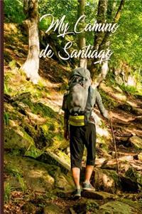 My Camino de Santiago