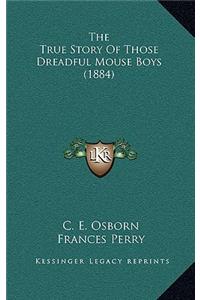 The True Story Of Those Dreadful Mouse Boys (1884)