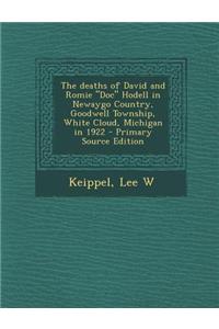 The Deaths of David and Romie Doc Hodell in Newaygo Country, Goodwell Township, White Cloud, Michigan in 1922