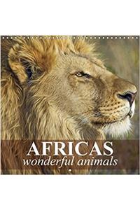 Africas Wonderful Animals 2018