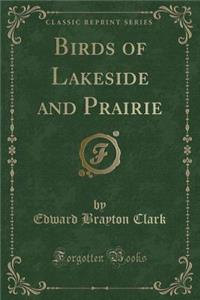 Birds of Lakeside and Prairie (Classic Reprint)