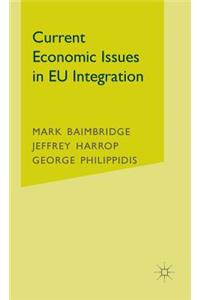 Current Economic Issues in Eu Integration