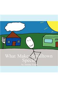 What Makes Smalltown Special