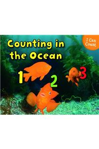 Counting in the Ocean