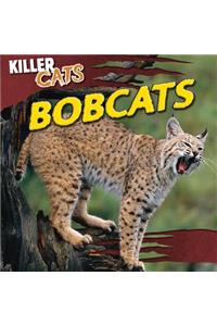 Bobcats