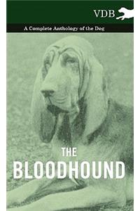 The Bloodhound - A Complete Anthology of the Dog -