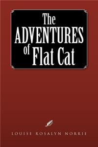 Adventures of Flat Cat
