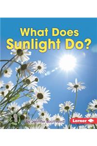 What Does Sunlight Do?