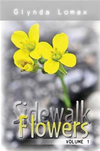 Sidewalk Flowers - Volume 1
