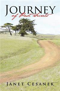 Journey of Past Secrets