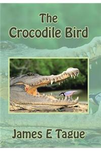 Crocodile Bird