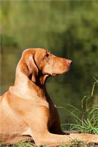 The Vizsla Dog Journal