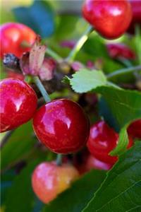 Ripe Red Cherries Journal