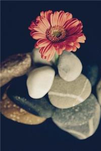 Gerbera Daisy Still Life Journal
