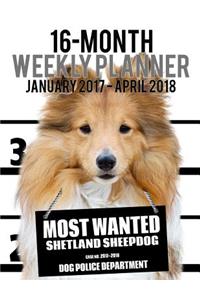 Most Wanted Shetland Sheepdog 2017-2018 Weekly Planner - 16 Month