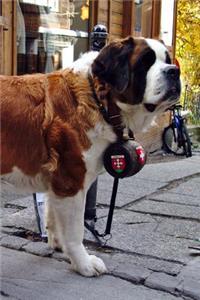 St. Bernard Rescue Dog Switzerland Europe Journal: 150 Page Lined Notebook/Diary