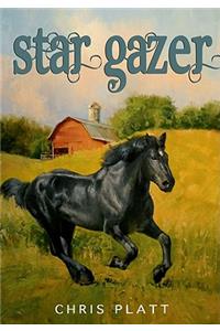 Star Gazer